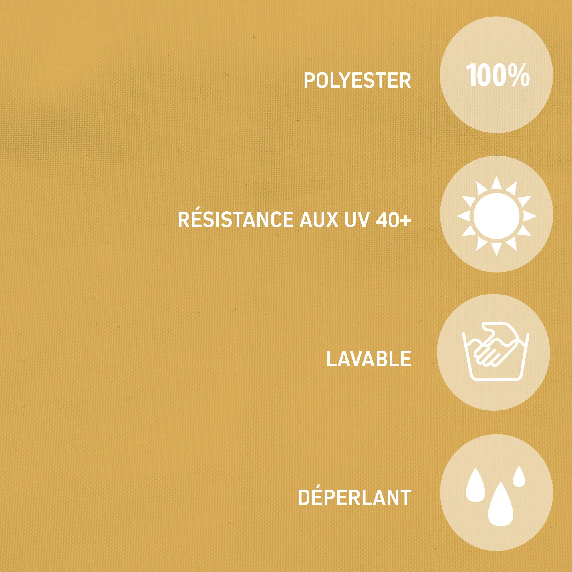 slider_image_019a733f5be974c4a7944f47a480b692